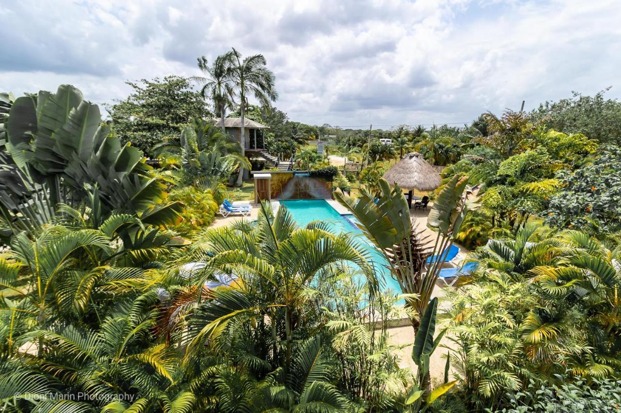 Almond Tree Hotel Resort Corozal Exterior photo