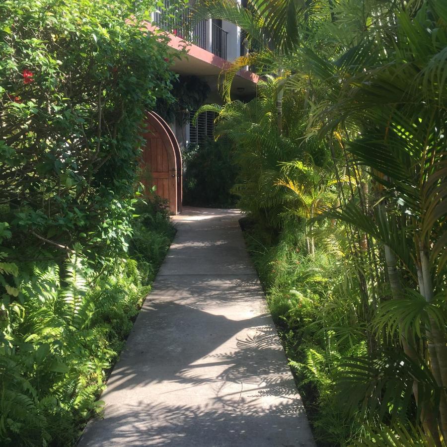 Almond Tree Hotel Resort Corozal Exterior photo